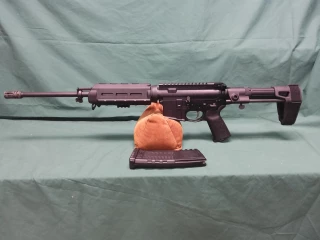 PALMETTO STATE ARMORY PA-15 AR-15 MIL-SPEC CUSTOM RIFLE